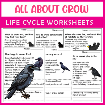 Preview of All About Crow| Crow life cycle worksheets | Science Reading Comprehensions