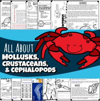 Preview of All About Crustaceans, Mollusks & Cephalopods
