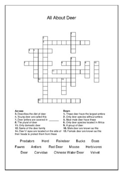 All About Deer Crossword Puzzle and Word Search Bell Ringer TPT