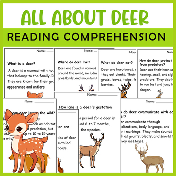 Preview of All About Deer| Deer life cycle | Science Reading Comprehensions