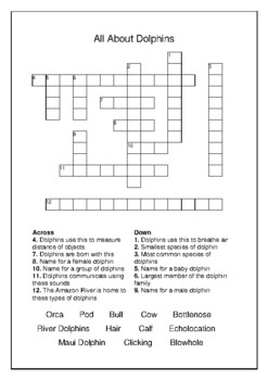 All About Dolphins Crossword and Word Search Bell Ringer TPT