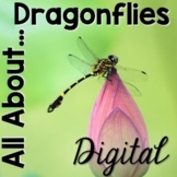 All About Dragonflies Digital