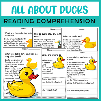 Preview of All About Duck | Duck life cycle worksheets | Science Reading Comprehensions