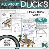 All About Ducks | Facts Worksheets Poster Diagram Craft