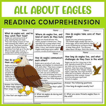 Preview of All About Eagle | Eagle life cycle | Science Reading Comprehensions