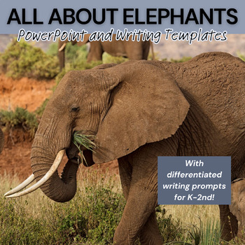 Preview of All About Elephants: Informational Presentation & Differentiated Writing Prompts