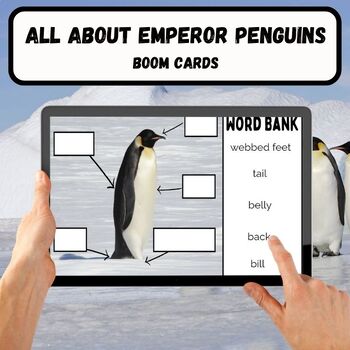 Preview of All About Emperor Penguins Informational and Interactive Boom Cards