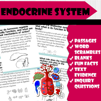 Preview of All About Endocrine system | Science Reading Comprehensions, and Worksheets