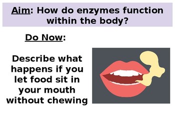 Preview of All About Enzymes