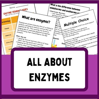 Preview of All About Enzymes | Reading passages | Terminologies |Diagram