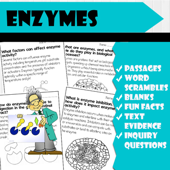 Preview of All About Enzymes | Science Reading Comprehensions, and Worksheets