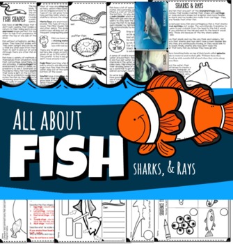 Preview of All About Fish, Sharks & Rays