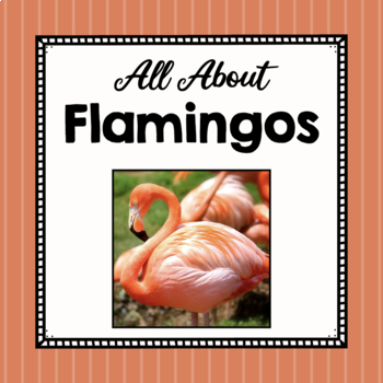 Preview of All About Flamingos | Flamingo Study Unit | Easy Prep Animal Science