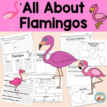 Preview of All About Flamingos, Writing Prompts, Graphic Organizers, Diagrams, K, 1st, 2nd