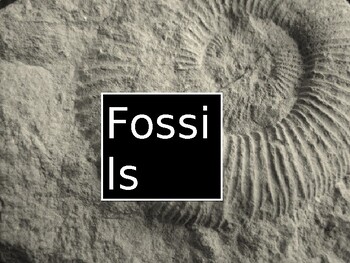 Preview of All About Fossils
