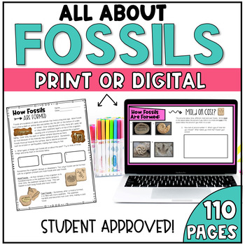 All About Fossils: NGSS Unit Aligned with 3-LS4-1 and 4-ESS1-1! | TpT