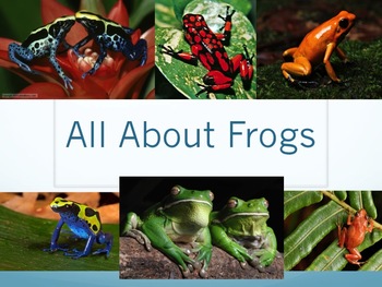 Preview of All About Frogs Powerpoint