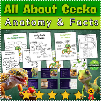 All About Gecko: Facts(PPT) & Anatomy - Parts of a Gecko - Life Cycle ...