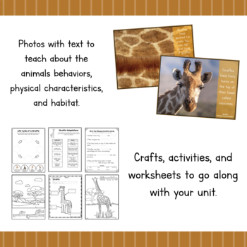 All About Giraffes | Animal Study Unit | Easy Prep Animal Science Unit