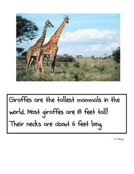 giraffes unit preview