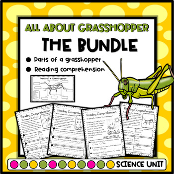 Preview of All About Grasshopper Facts - Reading Comprehension and Parts of a Grasshopper
