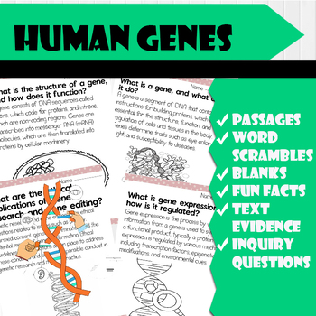 Preview of All About HUMAN GENES | Science Reading Comprehensions, and Worksheets