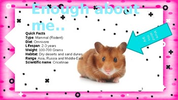 PPT - All About Hamsters PowerPoint Presentation, free download - ID:108105