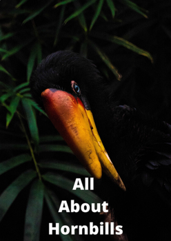 Preview of All About Hornbill