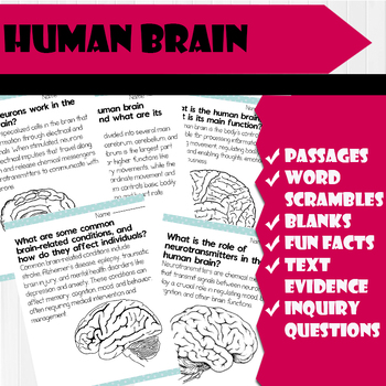 Preview of All About Human Brain | Science Reading Comprehensions, and worksheets