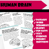 All About Human Brain | Science Reading Comprehensions, an