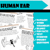 All About Human Ear | Science Reading Comprehensions, and 