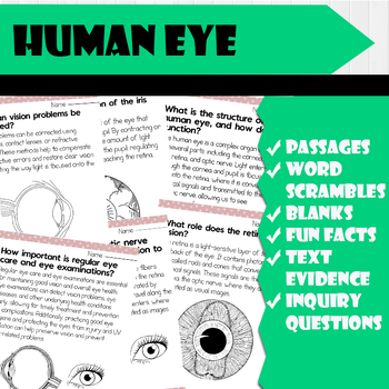 Preview of All About Human Eye | Science Reading Comprehensions, and Worksheets