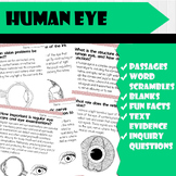 All About Human Eye | Science Reading Comprehensions, and 