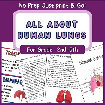 Preview of All About Human Lungs | Respiration Worksheets | Human Body Organs| Activities