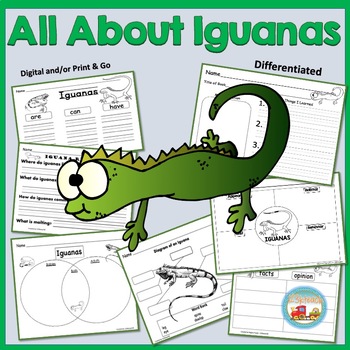 Preview of All About Iguanas, Writing Prompts, Graphic Organizers, Diagrams, K, 1st, 2nd