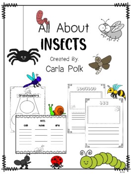All About Insects by Carla Polk | TPT