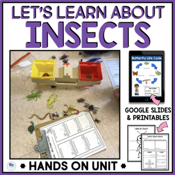 Preview of Bugs And Insects All About Butterflies Bees Ladybugs First Grade Kindergarten
