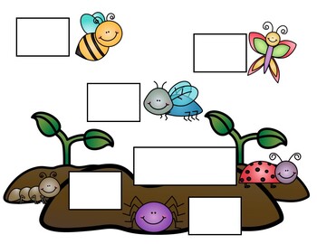Preview of All About Insects/Bugs ASL Activity!! Colored & Black/White Options!!