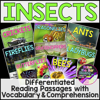 Preview of All About Insects Bundle, Life Cycle, Nonfiction Reading Passages and Questions