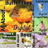 All About Insects Digital Bundle
