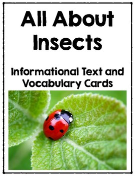 Preview of All About Insects - Informational Text and Vocabulary