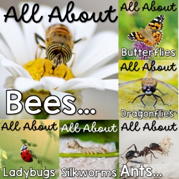 Preview of All About Insects Printable Bundle