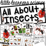 All About Insects- Science for Little Learners (preschool, pre-k, & kinder)