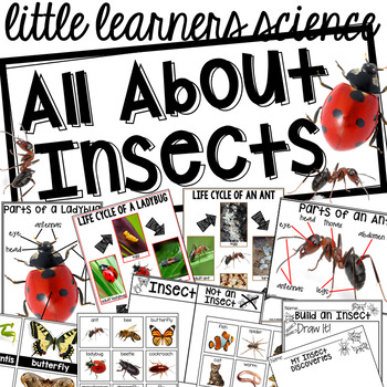 Preview of All About Insects- Science for Little Learners (preschool, pre-k, & kinder)