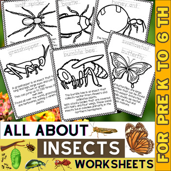 Preview of All About Insects Worksheets - Coloring Pages & Read | Bugs and Insects | Spring