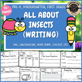 All About Insects Writing Insects PreK Kindergarten First 