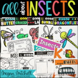 Insects Vs Spiders Worksheets & Teaching Resources | TpT