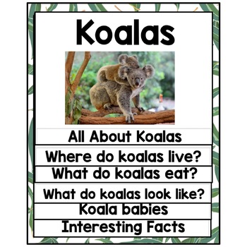 What Do Koalas Eat? - Lesson for Kids - Video & Lesson Transcript