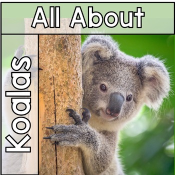 Preview of All About Koalas Freebie