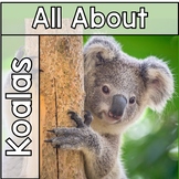 All About Koalas Freebie